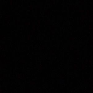 Meet your Posher, Macey